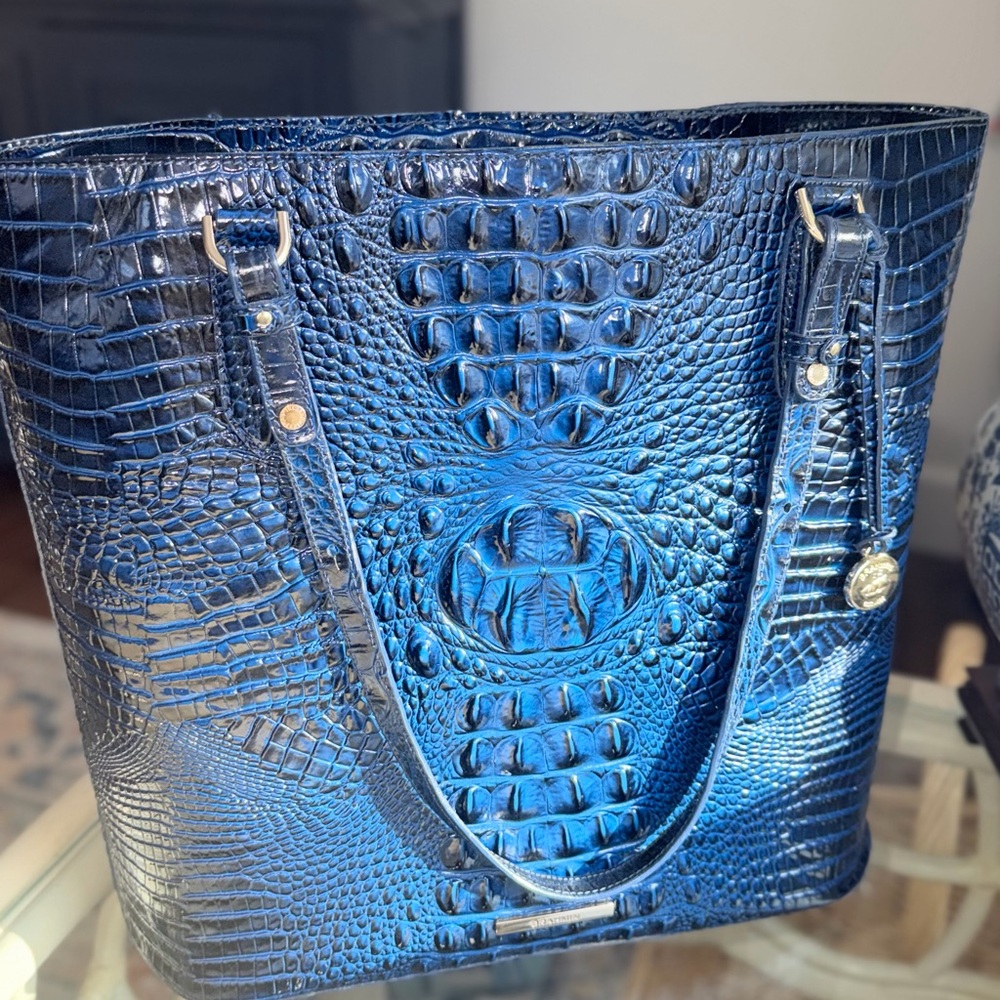 Brahmin Ezra Tote